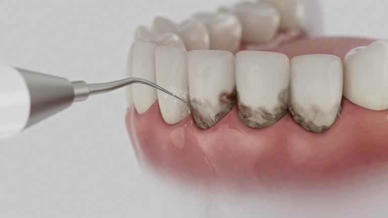 Reliable Dental contractor in Murraysville, NC by Dentist Open Now